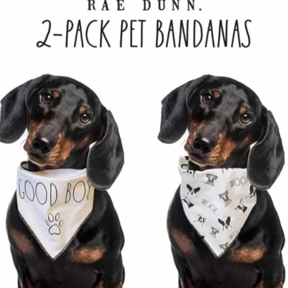 NEW Rae Dunn 2-Pack Pet Bandanas - Size S/M (BOY)